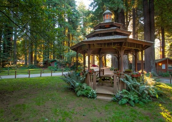 Emerald Forest of Trinidad - Trinidad, CA