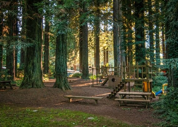 Emerald Forest of Trinidad - Trinidad, CA