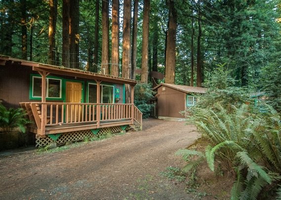Emerald Forest of Trinidad - Trinidad, CA