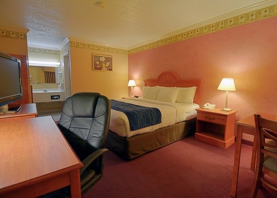 Comfort Inn-Quakertown - Quakertown, PA