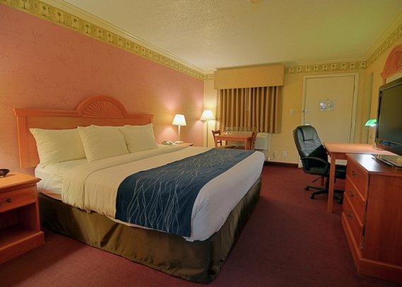 Comfort Inn-Quakertown - Quakertown, PA