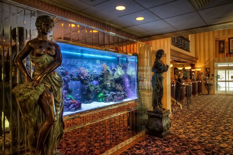 Salvatore's Garden Pl-Ascend - Buffalo, NY