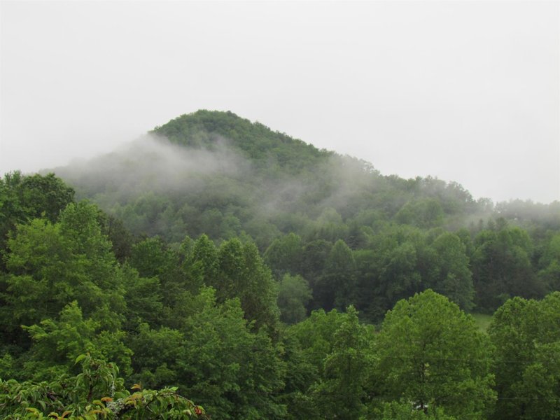 Quality Inn - Sylva, NC