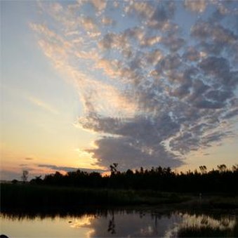 Crooked River Lodge - Alanson, MI