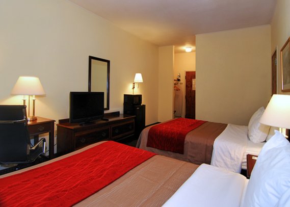 Comfort Inn - Clemson, SC