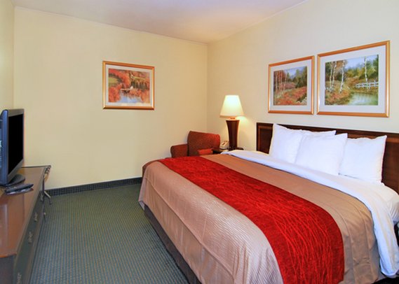 Comfort Inn - Clemson, SC