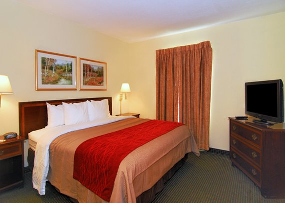 Comfort Inn - Clemson, SC