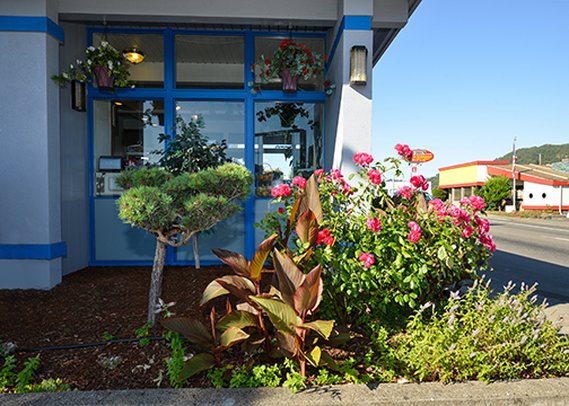 Rodeway Inn - Roseburg, OR