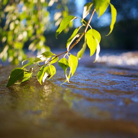 Hotel Rio Vista - Winthrop, WA