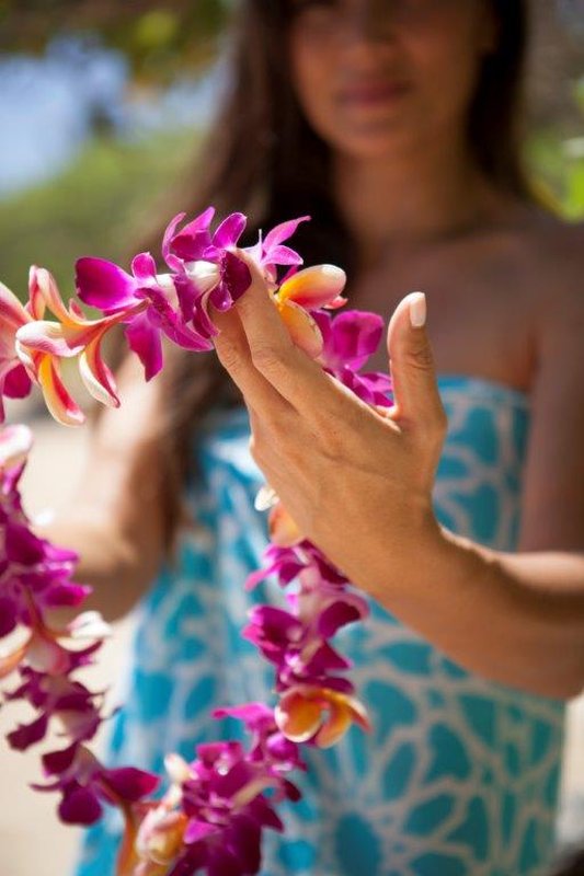 Turtle Bay Resort - Kahuku, HI