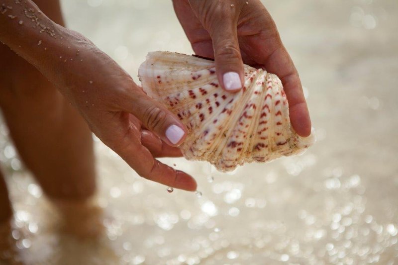 Turtle Bay Resort - Kahuku, HI