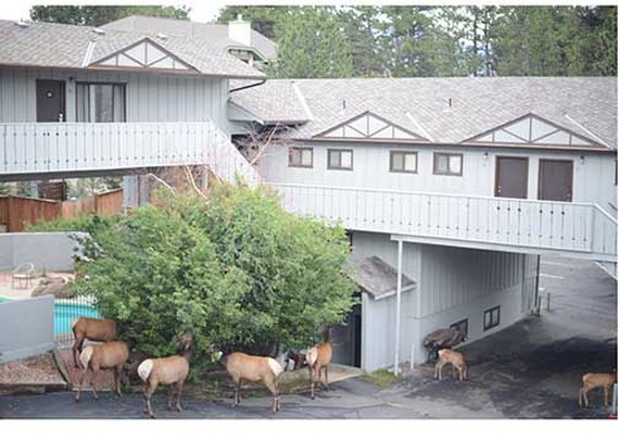 Econo Lodge - Estes Park, CO