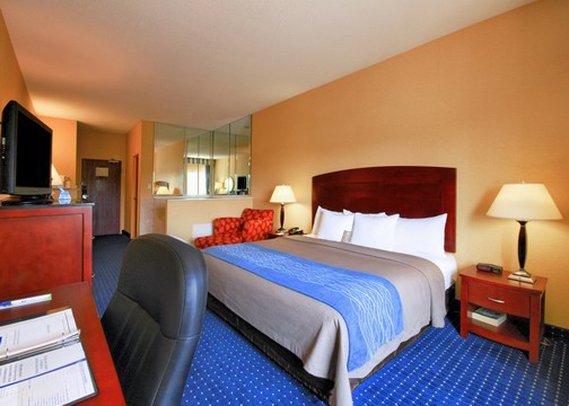 Comfort Inn & Suites - North East, MD