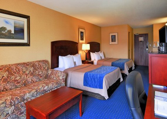 Comfort Inn & Suites - North East, MD