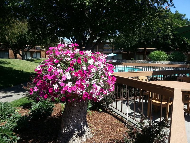 Best Western - Baker City, OR