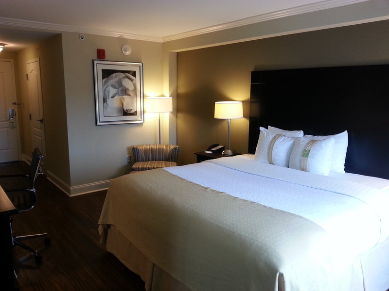 Holiday Inn MACON NORTH - Macon, GA