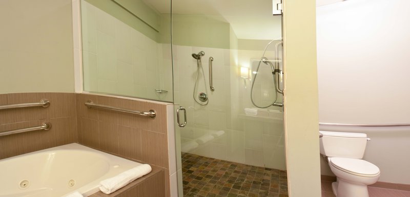 Hotel Indigo - Waco, TX