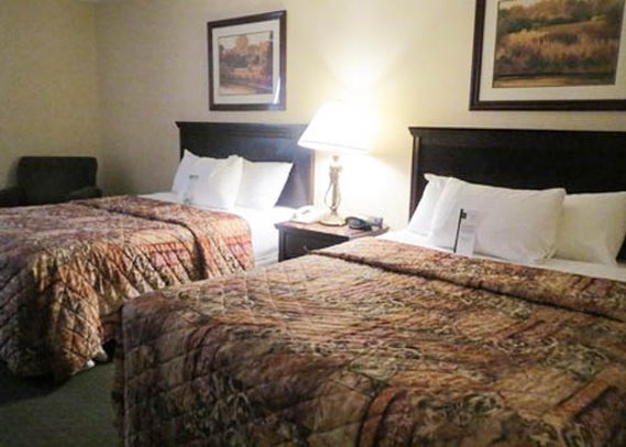 Comfort Inn & Suites - Memphis, TN