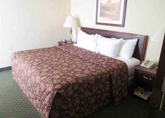 Comfort Inn & Suites - Memphis, TN