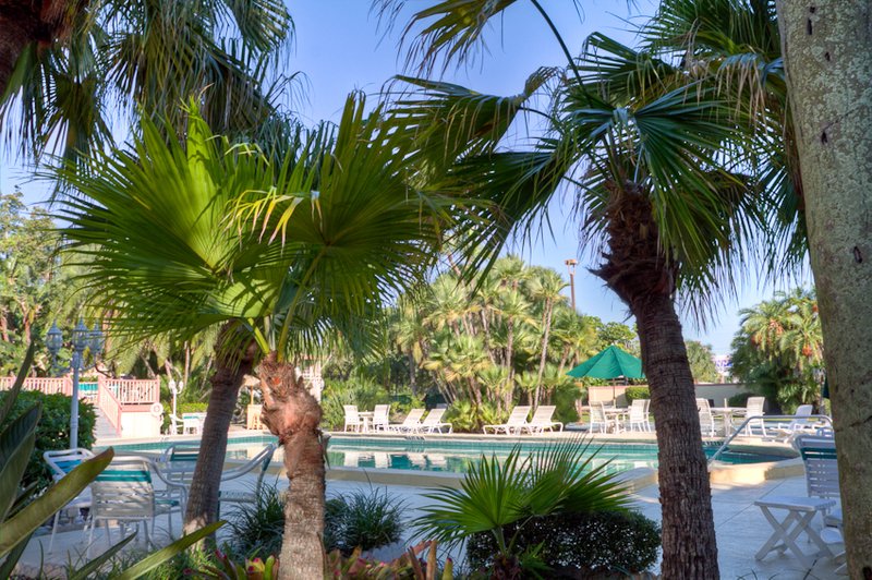 Golden Host Resort - Sarasota, FL