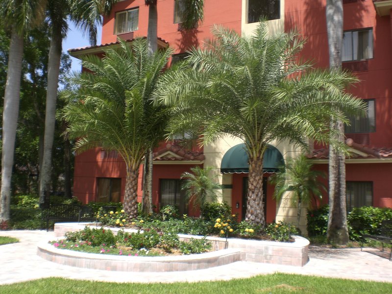 Best Western Plus - North Palm Beach, FL