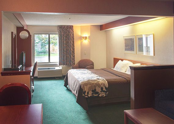Sleep Inn-Acme/Traverse - Williamsburg, MI