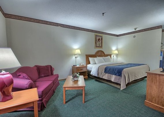 Comfort Inn - Circleville, OH