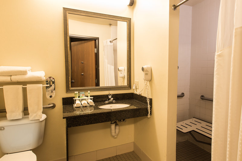 Holiday Inn Express WISCONSIN DELLS - Arkdale, WI