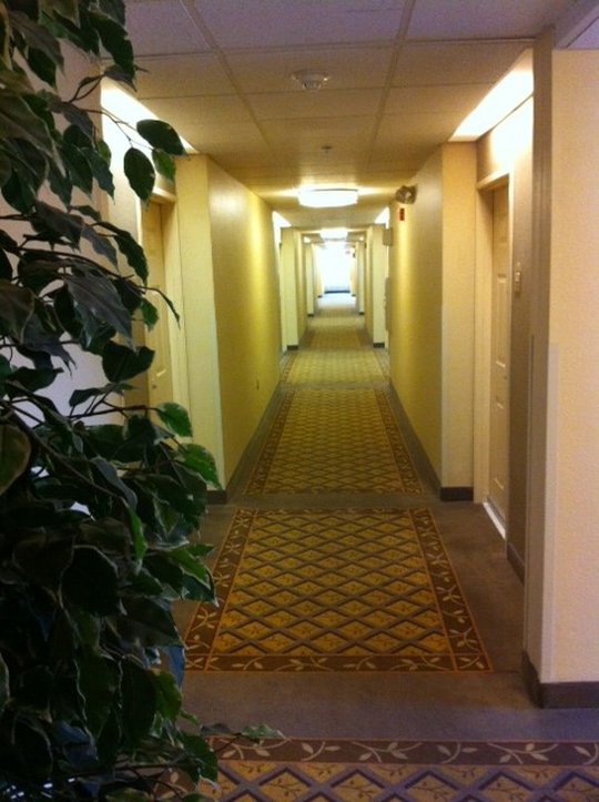 Candlewood Suites-Phoenix/Tmp - Mesa, AZ