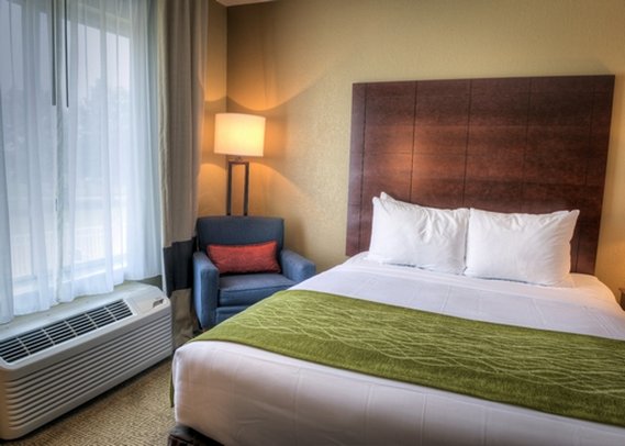 Comfort Inn - Demopolis, AL