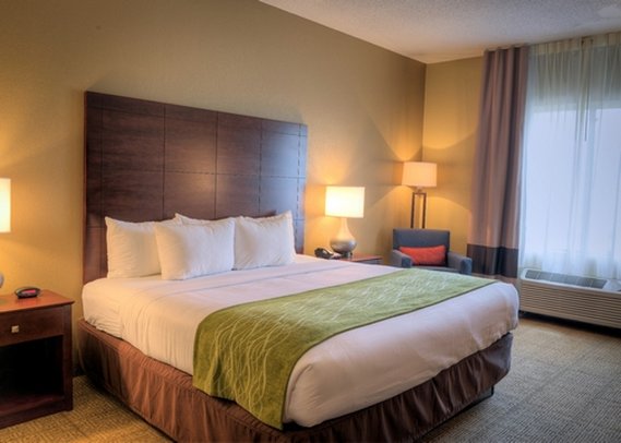 Comfort Inn - Demopolis, AL