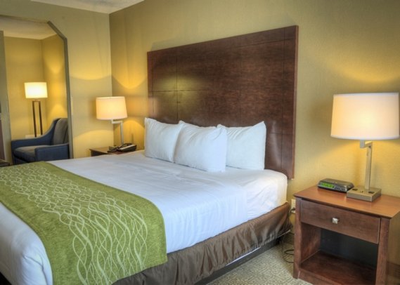 Comfort Inn - Demopolis, AL