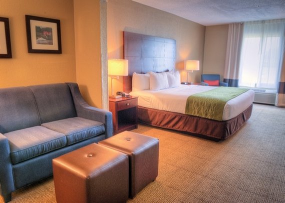 Comfort Inn - Demopolis, AL