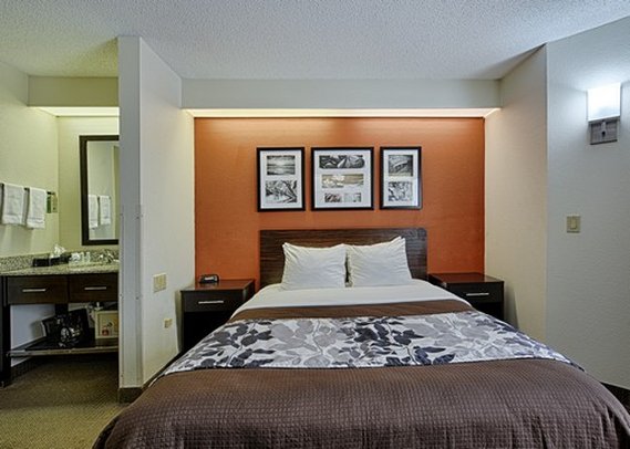 Sleep Inn - Dewitt, MI