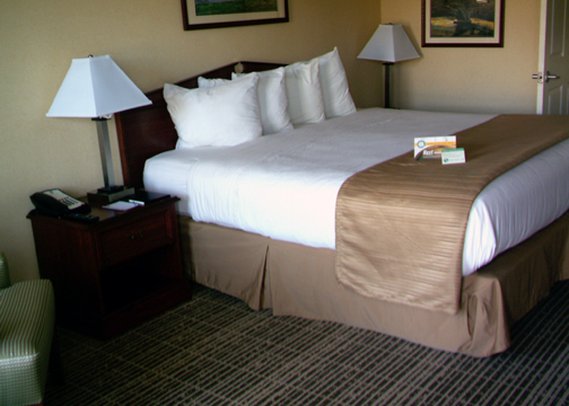 Jameson Inn - Scottsboro, AL