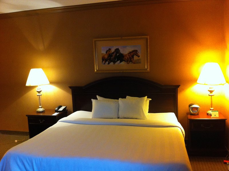 Crowne Plaza LEXINGTON NEAR UK / KEENELAND - Lexington, KY