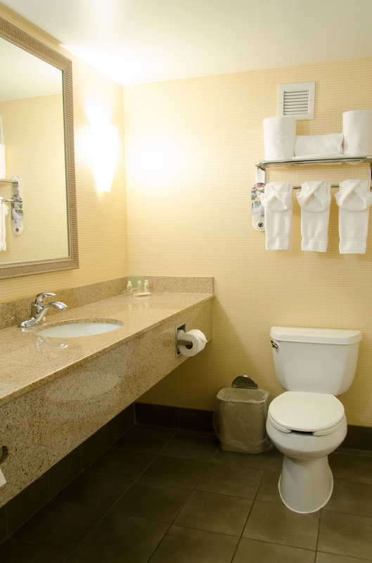 Holiday Inn-Kalamazoo - Kalamazoo, MI
