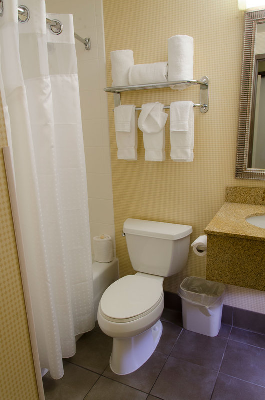 Holiday Inn-Kalamazoo - Kalamazoo, MI