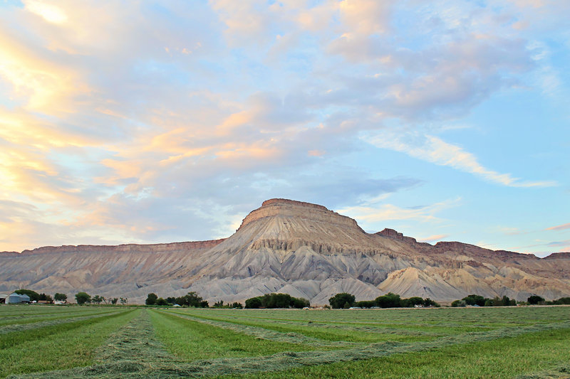 Holiday Inn Express Hotel & Suites - Grand Junction, CO