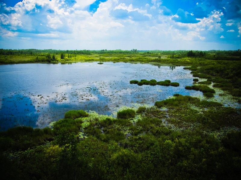 Best Western Plus - Kingsland, GA