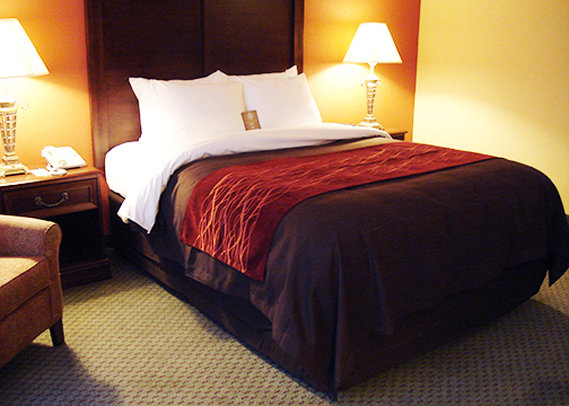 Best Western Plus North Shore - Danvers, MA
