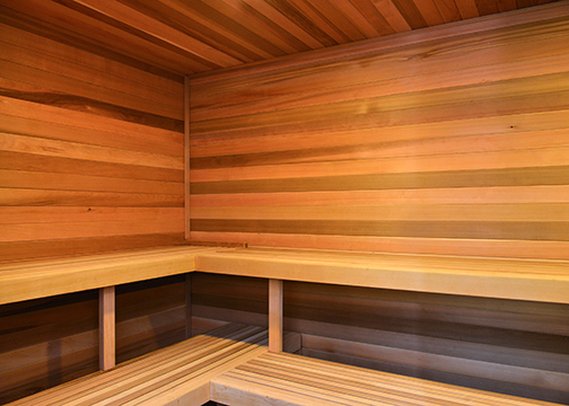 Comfort Suites - Minot, ND