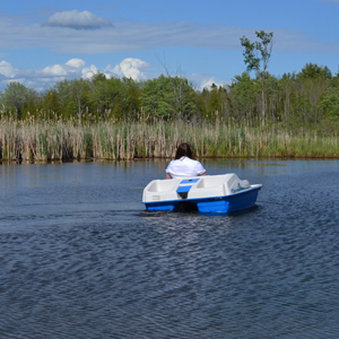 Crooked River Lodge - Alanson, MI