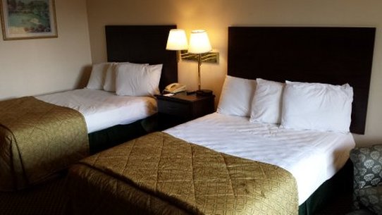 Vista Inn & Suites-Tampa - Tampa, FL