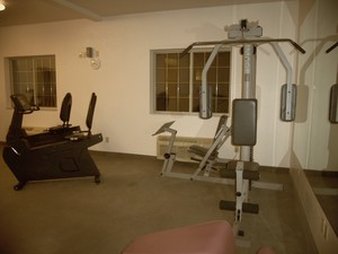 Maxfield's Inn - Edmore, MI