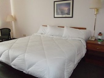 Maxfield's Inn - Edmore, MI