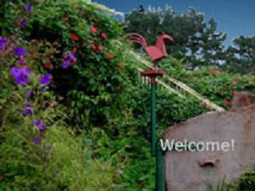 Branscomb's Bodega Bay Inn - Bodega Bay, CA