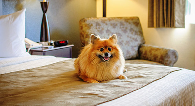 Americinn - Owatonna, MN