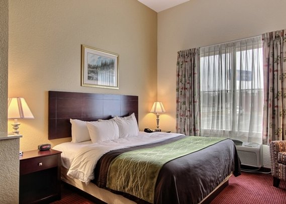 Comfort Inn - Blackshear, GA
