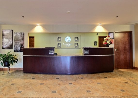 Comfort Inn - Blackshear, GA